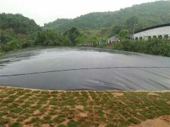 聚乙烯防滲膜 聚乙烯防滲膜